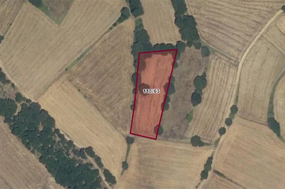 CENTURY 21 BAL OFİSİNDEN BALIKESİR KURTDERE KÖYÜNDE SATILIK TARLA