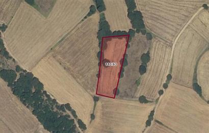 CENTURY 21 BAL OFİSİNDEN BALIKESİR KURTDERE KÖYÜNDE SATILIK TARLA