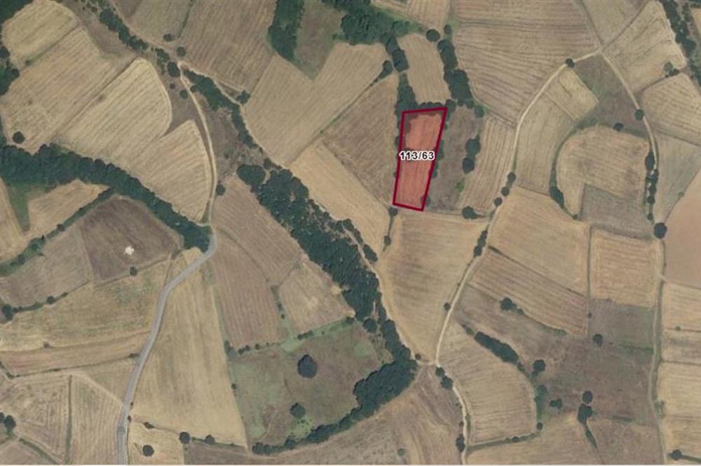 CENTURY 21 BAL OFİSİNDEN BALIKESİR KURTDERE KÖYÜNDE SATILIK TARLA