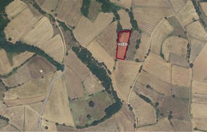 CENTURY 21 BAL OFİSİNDEN BALIKESİR KURTDERE KÖYÜNDE SATILIK TARLA