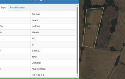 CENTURY 21 BAL OFİSİNDEN BALIKESİR KURTDERE KÖYÜNDE SATILIK TARLA