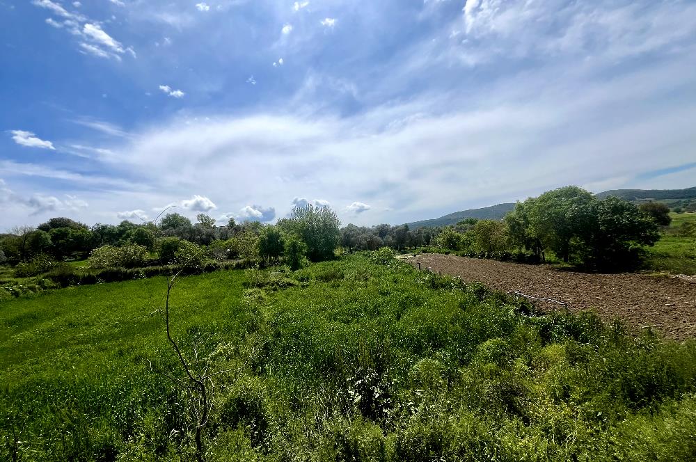 KUZYAKA KÖYÜNDE %50 İMARLI – YOLU VAR – 333 m² KÖY İÇİ FIRSAT ARSA