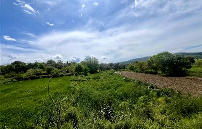 KUZYAKA KÖYÜNDE %50 İMARLI – YOLU VAR – 333 m² KÖY İÇİ FIRSAT ARSA