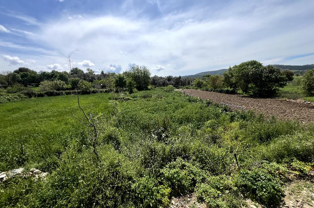 KUZYAKA KÖYÜNDE %50 İMARLI – YOLU VAR – 333 m² KÖY İÇİ FIRSAT ARSA