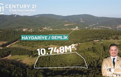 C21 Cius;Haydariyede Yatırıma Uygun 10.748m2 Yolu Açılmış Arazi
