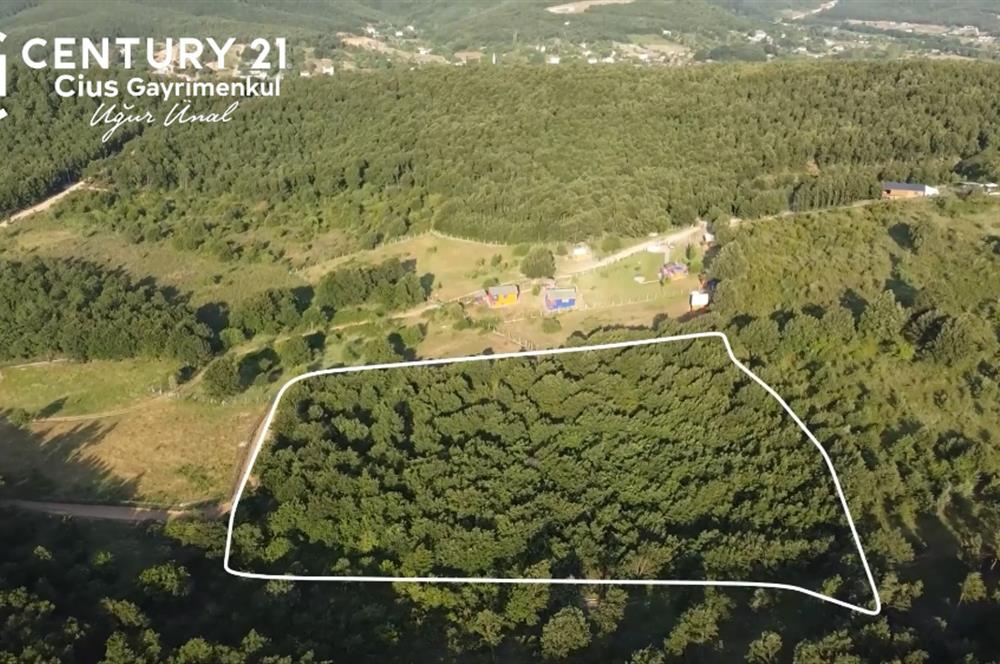 C21 Cius;Haydariyede Yatırıma Uygun 10.748m2 Yolu Açılmış Arazi