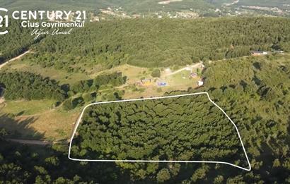 C21 Cius;Haydariyede Yatırıma Uygun 10.748m2 Yolu Açılmış Arazi