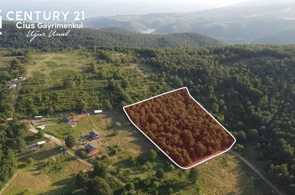 C21 Cius;Haydariyede Yatırıma Uygun 10.748m2 Yolu Açılmış Arazi
