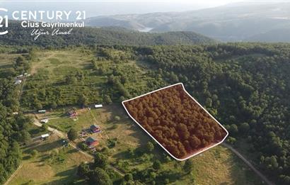 C21 Cius;Haydariyede Yatırıma Uygun 10.748m2 Yolu Açılmış Arazi