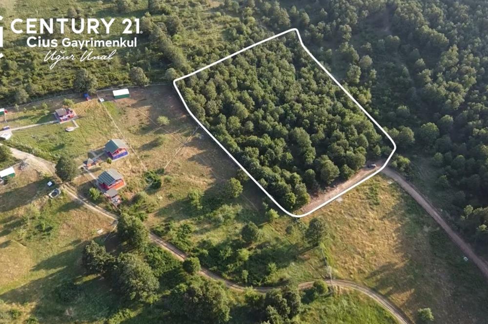 C21 Cius;Haydariyede Yatırıma Uygun 10.748m2 Yolu Açılmış Arazi