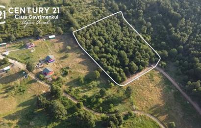 C21 Cius;Haydariyede Yatırıma Uygun 10.748m2 Yolu Açılmış Arazi