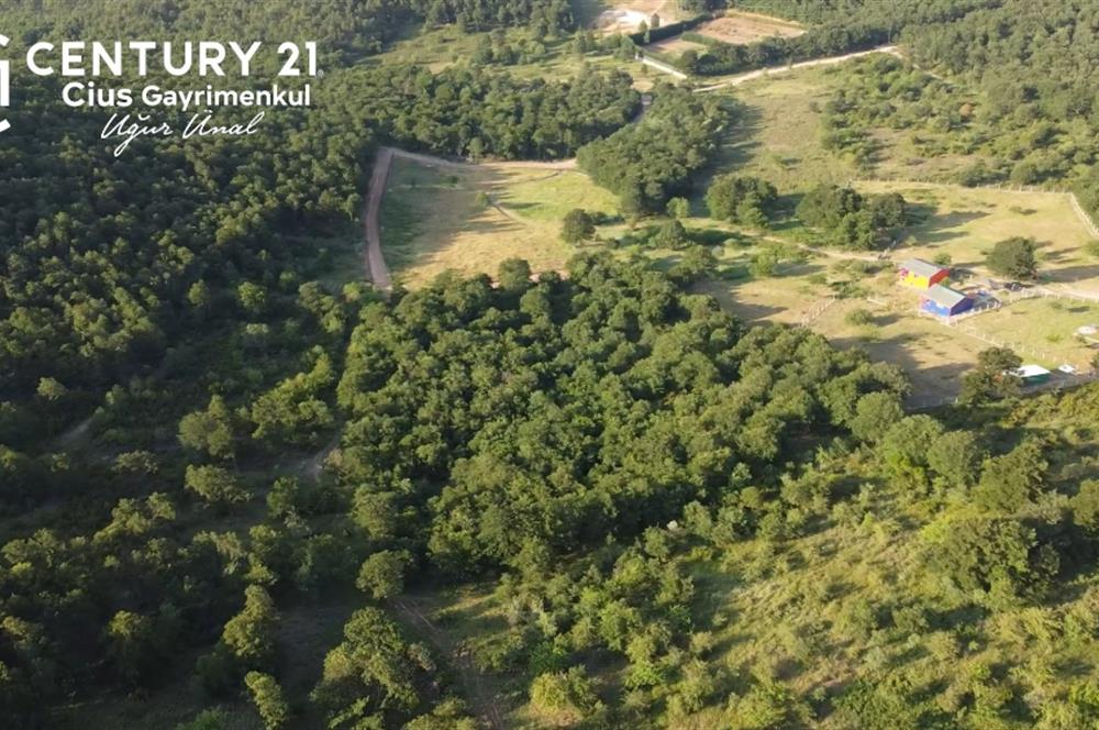 C21 Cius;Haydariyede Yatırıma Uygun 10.748m2 Yolu Açılmış Arazi