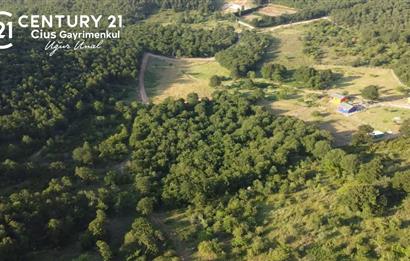 C21 Cius;Haydariyede Yatırıma Uygun 10.748m2 Yolu Açılmış Arazi