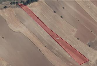 Elazığ Merkez Pelte'de Şehre Yakın, 3.763 m² Yatırımlık Tarla - 1 - 33905