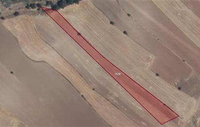 Elazığ Merkez Pelte'de Şehre Yakın, 3.763 m² Yatırımlık Tarla