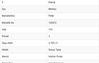 Elazığ Merkez Pelte'de Şehre Yakın, 3.763 m² Yatırımlık Tarla
