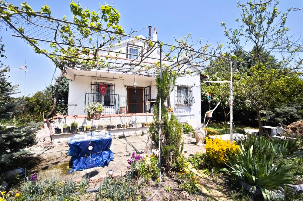 CENTURY 21 BAL'DAN KAYITLI HOBİ BAHÇESİ,