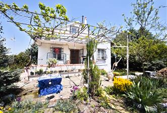 CENTURY 21 BAL'DAN KAYITLI HOBİ BAHÇESİ, - 4 - 33917