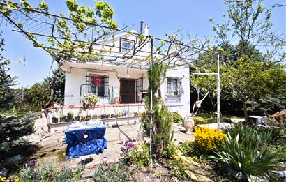 CENTURY 21 BAL'DAN KAYITLI HOBİ BAHÇESİ,