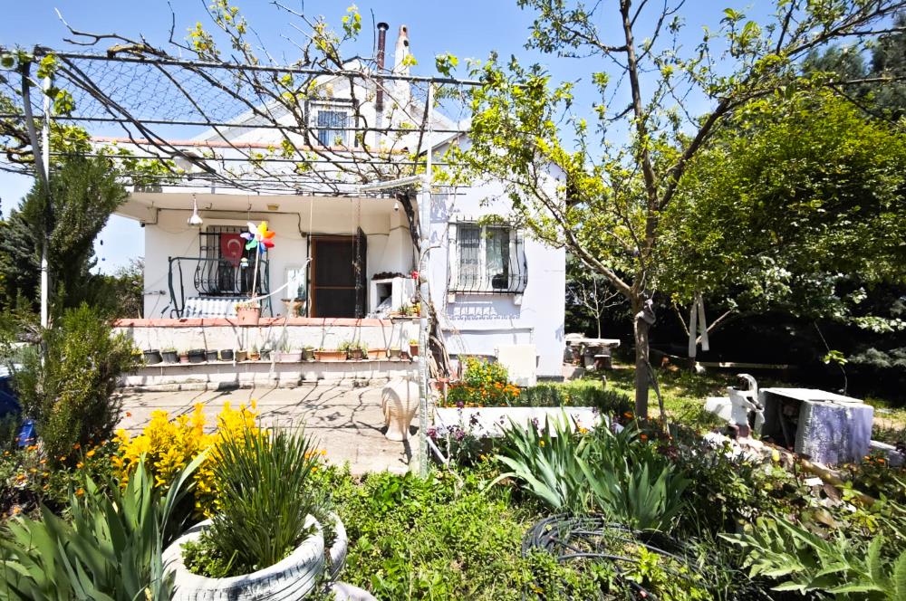 CENTURY 21 BAL'DAN KAYITLI HOBİ BAHÇESİ,