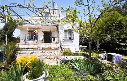 CENTURY 21 BAL'DAN KAYITLI HOBİ BAHÇESİ,
