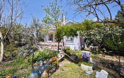 CENTURY 21 BAL'DAN KAYITLI HOBİ BAHÇESİ,