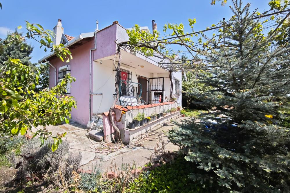CENTURY 21 BAL'DAN KAYITLI HOBİ BAHÇESİ,