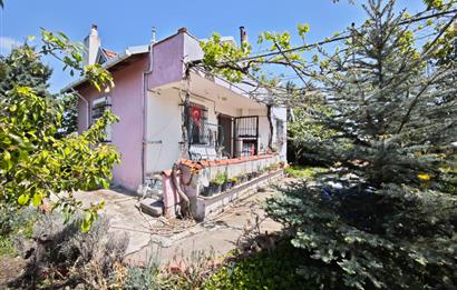CENTURY 21 BAL'DAN KAYITLI HOBİ BAHÇESİ,