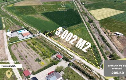 CENTURY 21 BAL'DAN KAYITLI HOBİ BAHÇESİ,