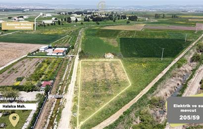 CENTURY 21 BAL'DAN KAYITLI HOBİ BAHÇESİ,