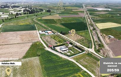 CENTURY 21 BAL'DAN KAYITLI HOBİ BAHÇESİ,