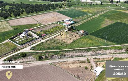 CENTURY 21 BAL'DAN KAYITLI HOBİ BAHÇESİ,