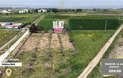 CENTURY 21 BAL'DAN KAYITLI HOBİ BAHÇESİ,