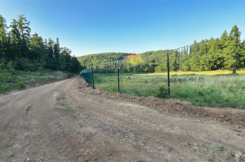 C21 Cius;Haydariyede Yatırıma Uygun 10.748m2 Yolu Açılmış Arazi