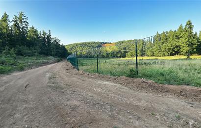 C21 Cius;Haydariyede Yatırıma Uygun 10.748m2 Yolu Açılmış Arazi