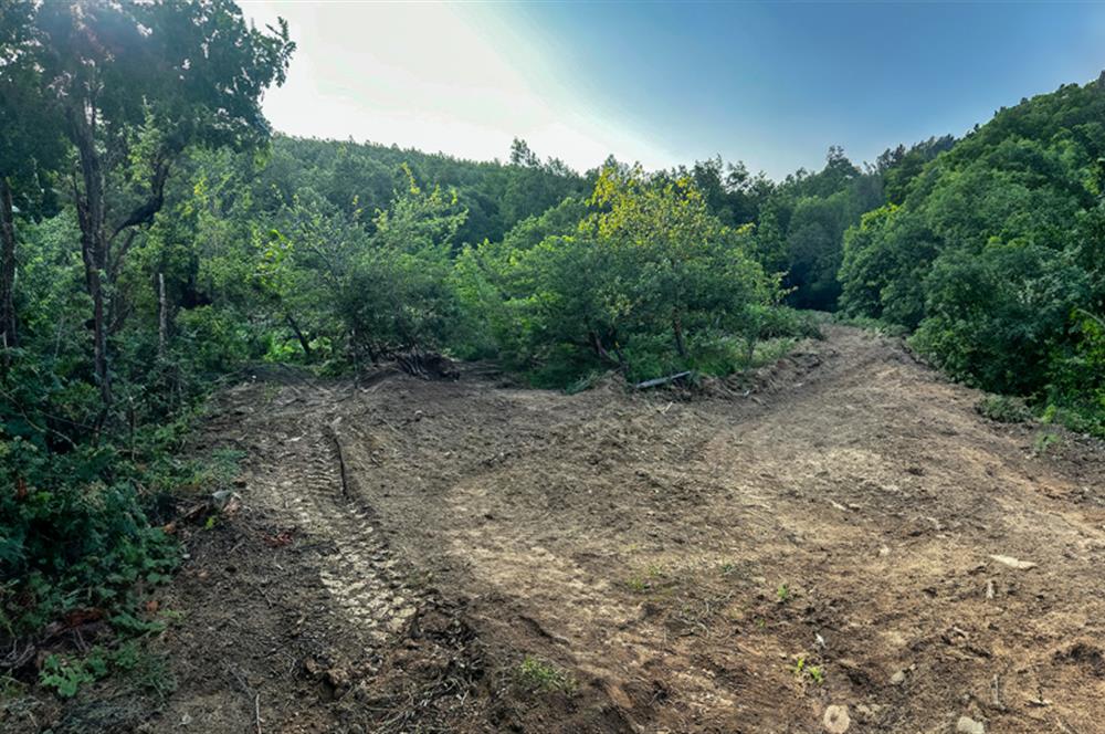 C21 Cius;Haydariyede Yatırıma Uygun 10.748m2 Yolu Açılmış Arazi