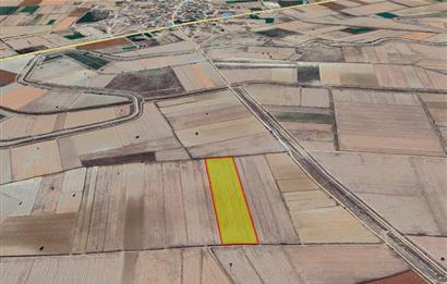 C21 LOF'TAN BAKLAN HADIMDA SATILIK 30 DÖNÜM TARLA