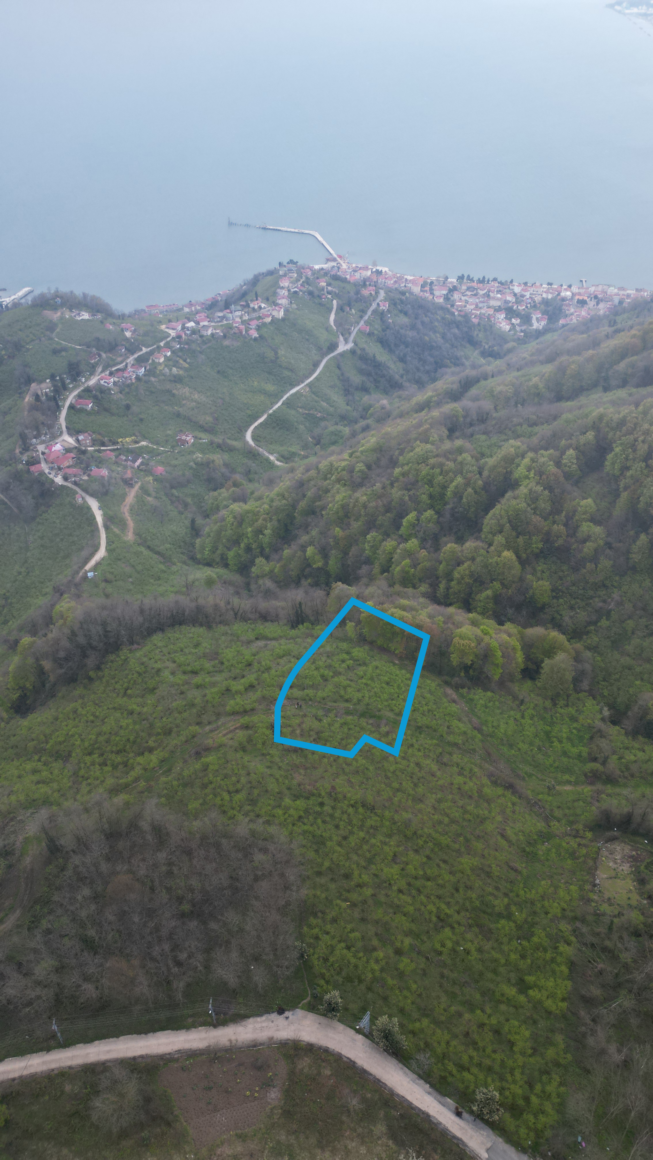 CENTURY 21'DEN KARADENİZ’E KARŞI DOĞAYLA İÇ İÇE 5.600 m² ÖZEL ARAZİ