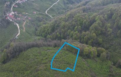CENTURY 21'DEN KARADENİZ’E KARŞI DOĞAYLA İÇ İÇE 5.600 m² ÖZEL ARAZİ