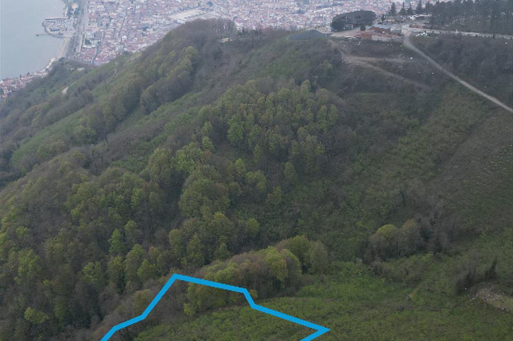 CENTURY 21'DEN KARADENİZ’E KARŞI DOĞAYLA İÇ İÇE 5.600 m² ÖZEL ARAZİ