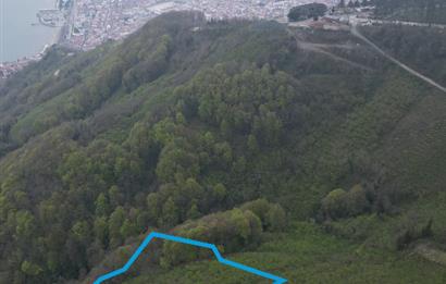 CENTURY 21'DEN KARADENİZ’E KARŞI DOĞAYLA İÇ İÇE 5.600 m² ÖZEL ARAZİ