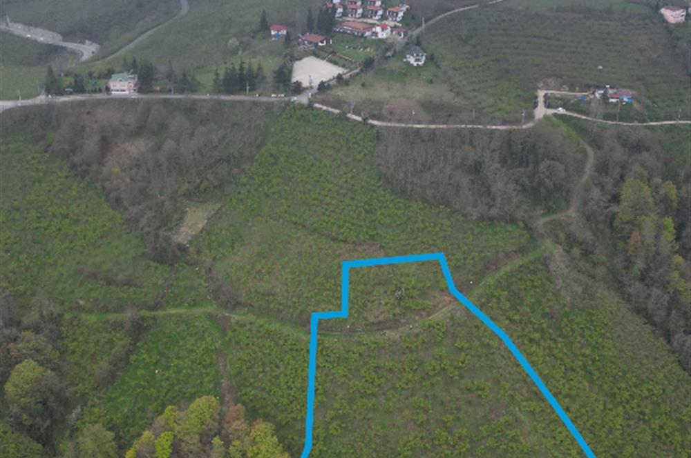 CENTURY 21'DEN KARADENİZ’E KARŞI DOĞAYLA İÇ İÇE 5.600 m² ÖZEL ARAZİ