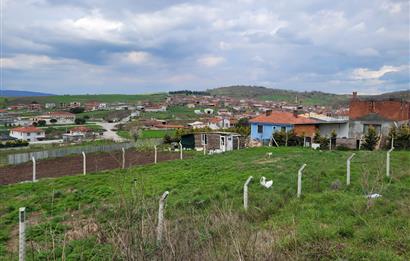 C21 BAL'DAN KARESİ KAMÇILI KÖYÜNDE SATILIK HAVUZLU MÜSTAKİL EV