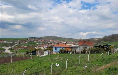 C21 BAL'DAN KARESİ KAMÇILI KÖYÜNDE SATILIK HAVUZLU MÜSTAKİL EV