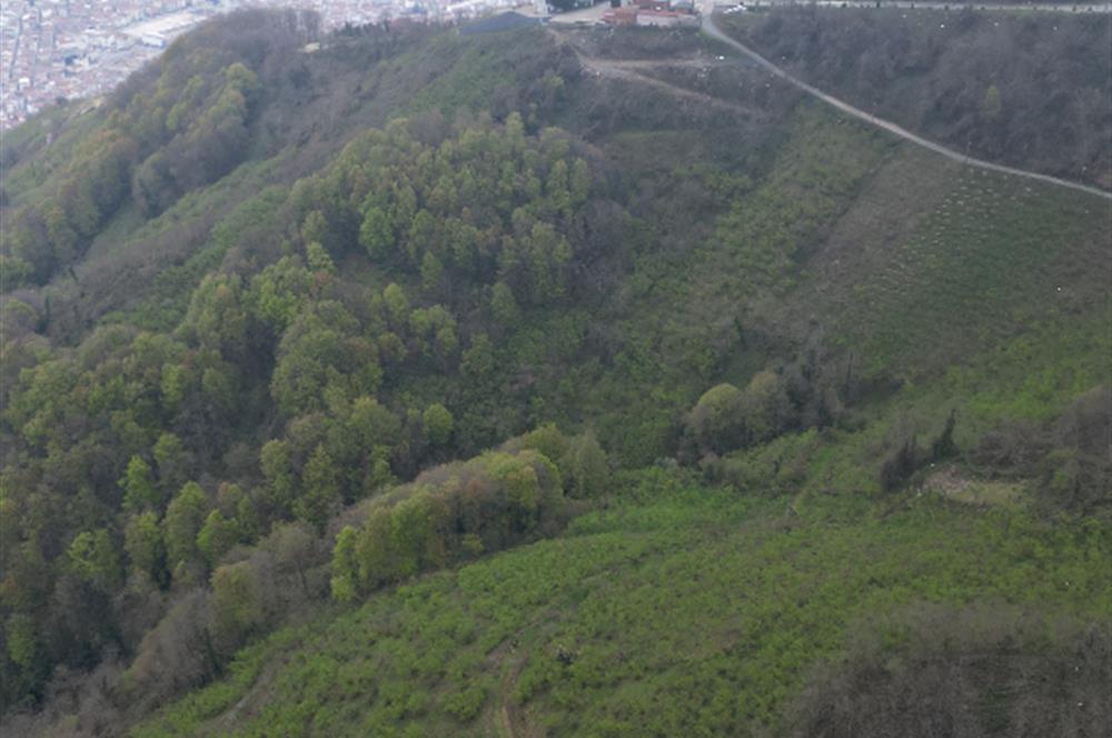 CENTURY 21'DEN KARADENİZ’E KARŞI DOĞAYLA İÇ İÇE 5.600 m² ÖZEL ARAZİ