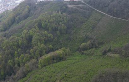 CENTURY 21'DEN KARADENİZ’E KARŞI DOĞAYLA İÇ İÇE 5.600 m² ÖZEL ARAZİ