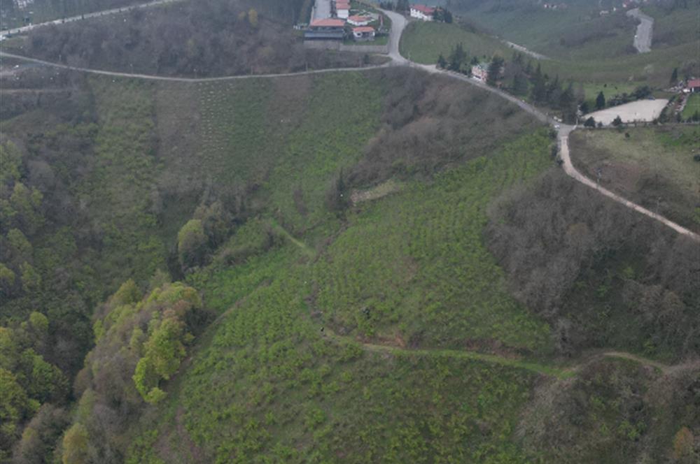 CENTURY 21'DEN KARADENİZ’E KARŞI DOĞAYLA İÇ İÇE 5.600 m² ÖZEL ARAZİ