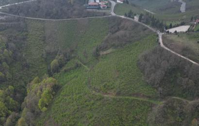 CENTURY 21'DEN KARADENİZ’E KARŞI DOĞAYLA İÇ İÇE 5.600 m² ÖZEL ARAZİ