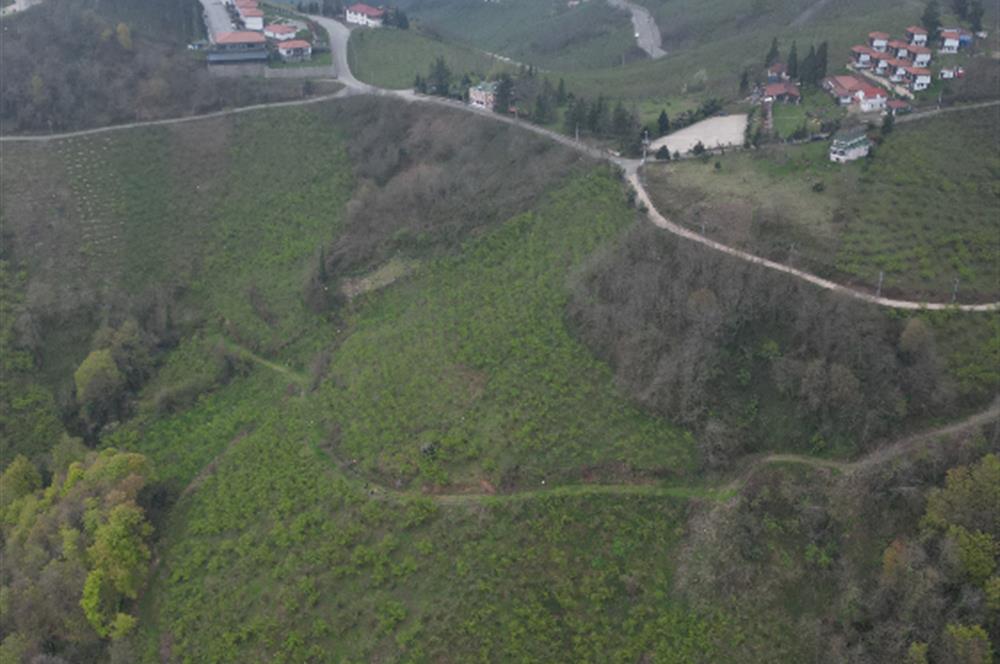 CENTURY 21'DEN KARADENİZ’E KARŞI DOĞAYLA İÇ İÇE 5.600 m² ÖZEL ARAZİ