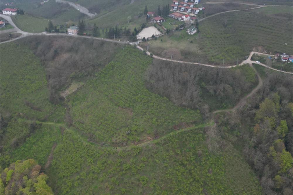 CENTURY 21'DEN KARADENİZ’E KARŞI DOĞAYLA İÇ İÇE 5.600 m² ÖZEL ARAZİ